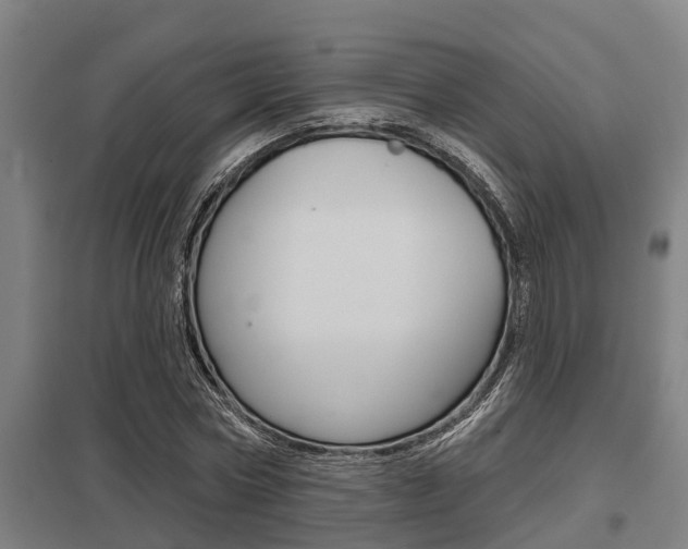 X0000098030778200803280730