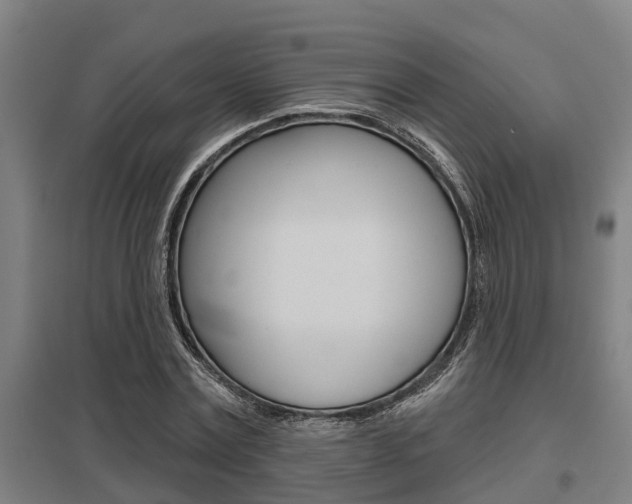 X0000098030779200803280730