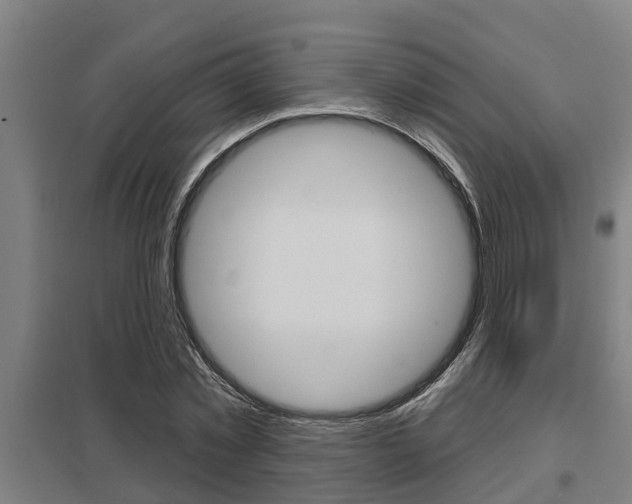 X0000098030781200803280730