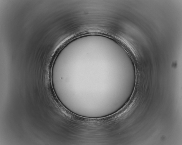 X0000098030782200803280730