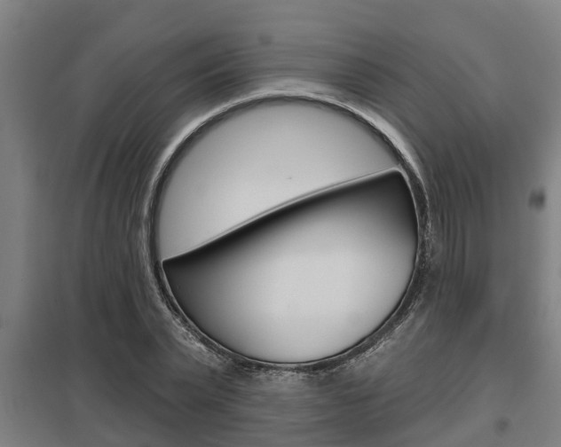 X0000098030783200803280730