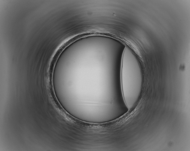 X0000098030784200803280730