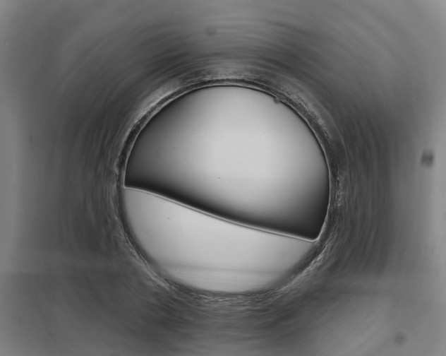 X0000098030786200803280730