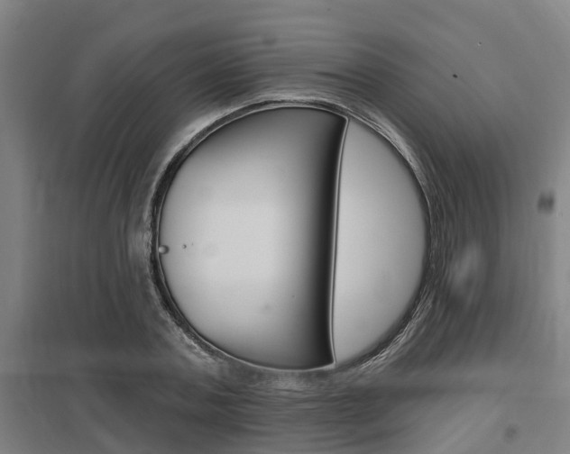 X0000098030787200803280730