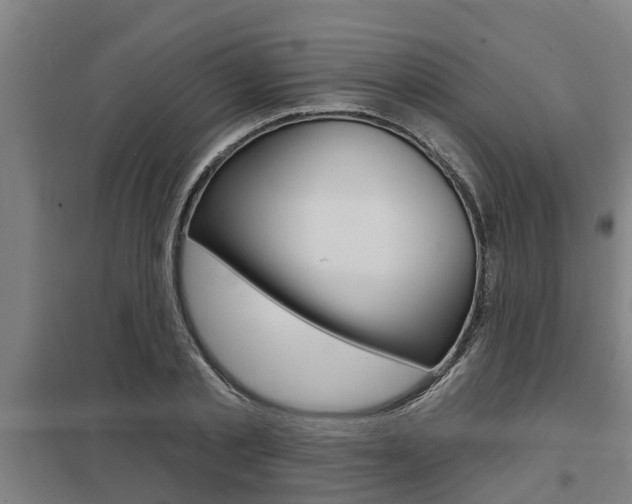 X0000098030789200803280730