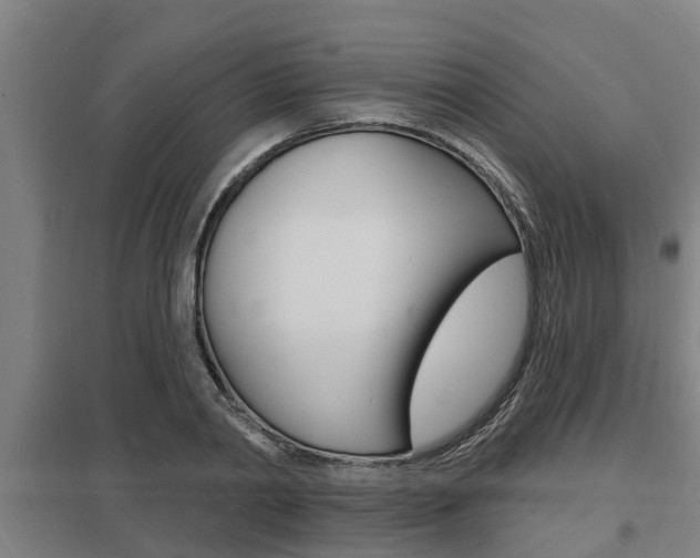 X0000098030790200803280730