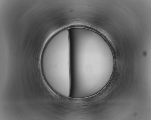 X0000098030791200803280730