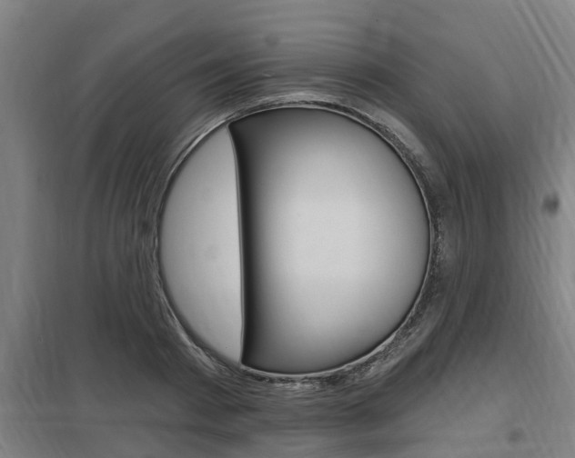 X0000098030793200803280730