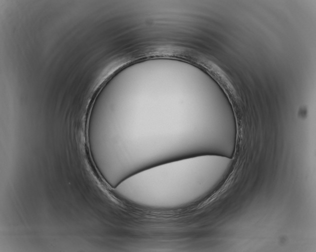 X0000098030794200803280730