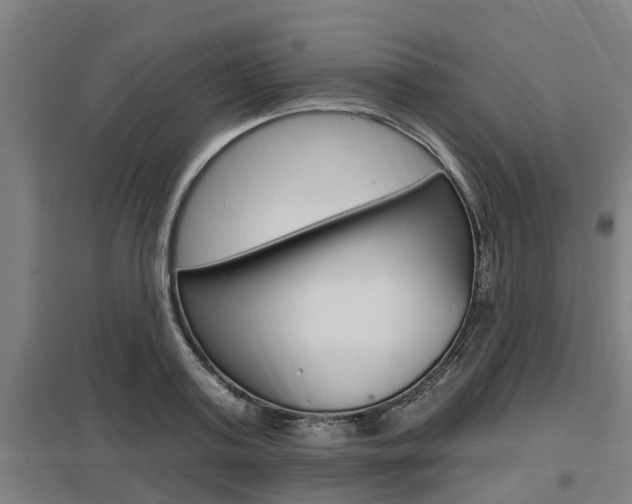 X0000098030795200803280730