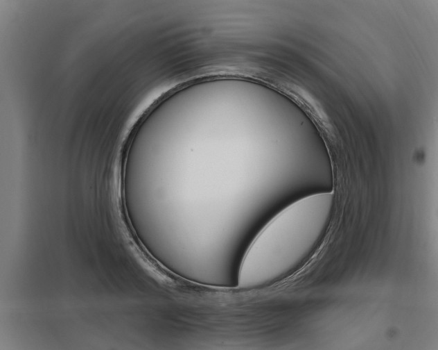 X0000098030796200803280730
