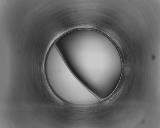 X0000098030797200803280730