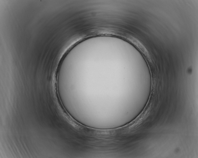 X0000098030798200803280730