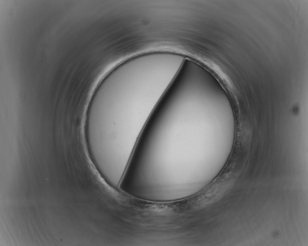 X0000098030799200803280730