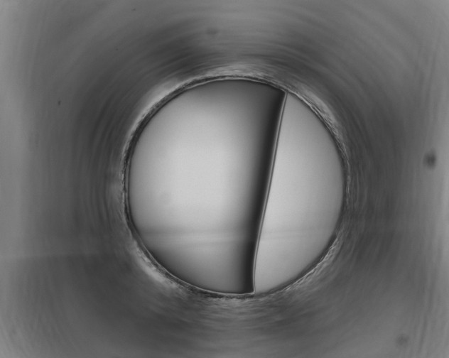X0000098030800200803280730