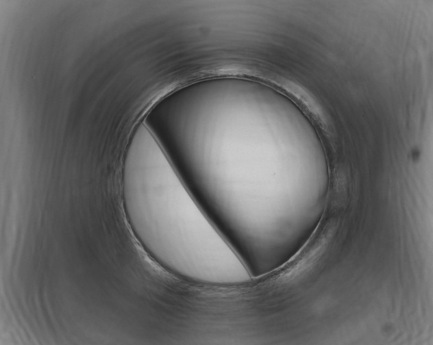X0000098030801200803280730
