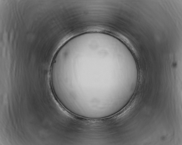 X0000098030802200803280730