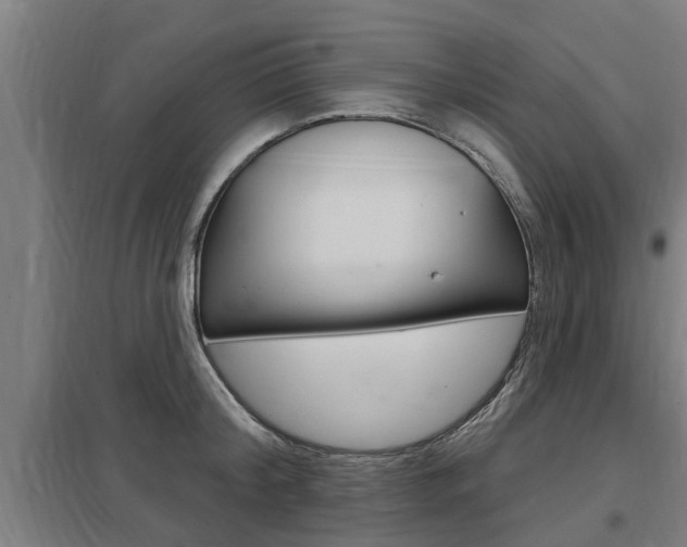 X0000098030804200803280730