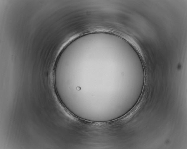 X0000098030806200803280729