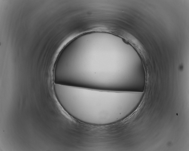 X0000098030808200803280729