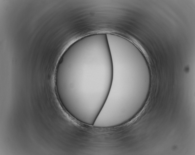 X0000098030810200803280729