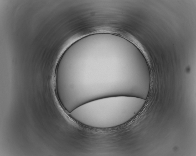 X0000098030811200803280729
