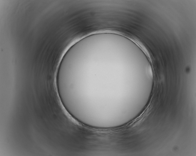 X0000098030813200803280729