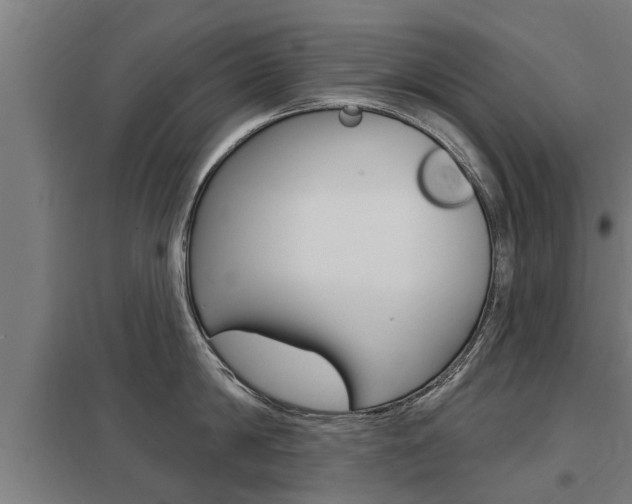 X0000098030814200803280729