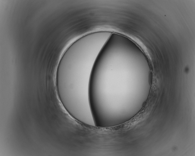 X0000098030815200803280729