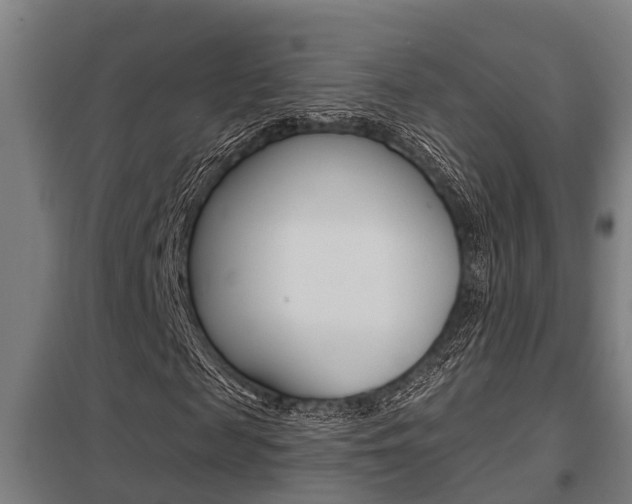 X0000098030817200803280729