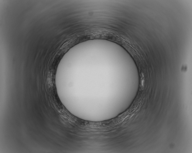 X0000098030819200803280729