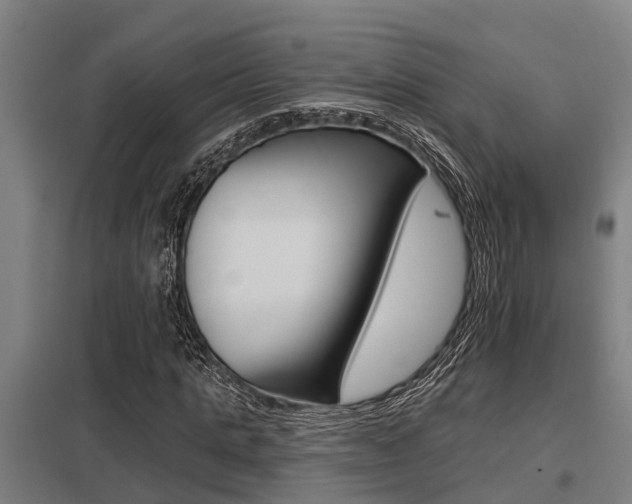 X0000098030821200803280729