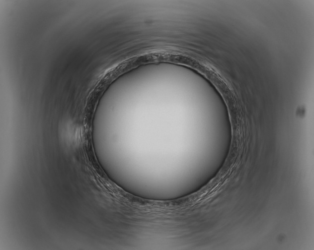 X0000098030822200803280729