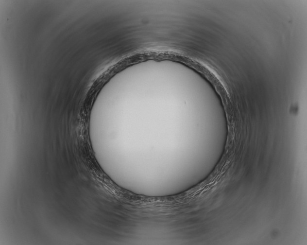 X0000098030823200803280729
