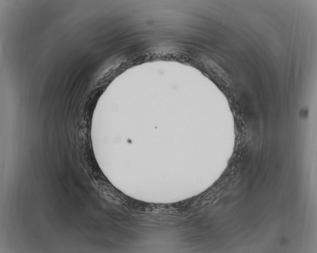 X0000098030824200803280729