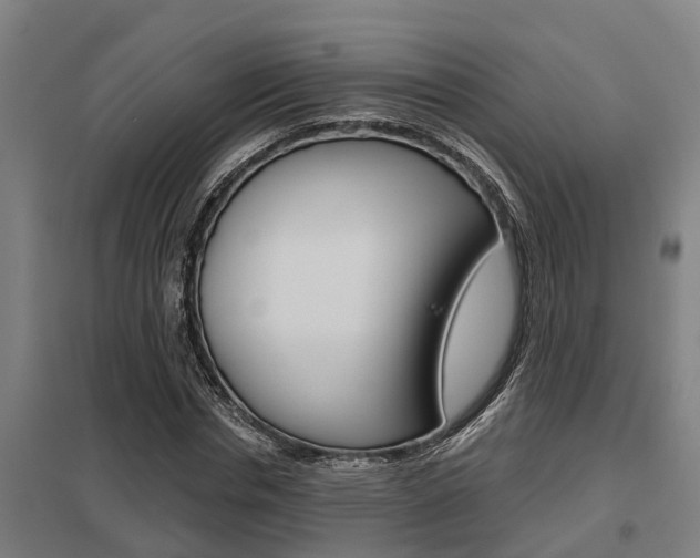 X0000098030826200803280729