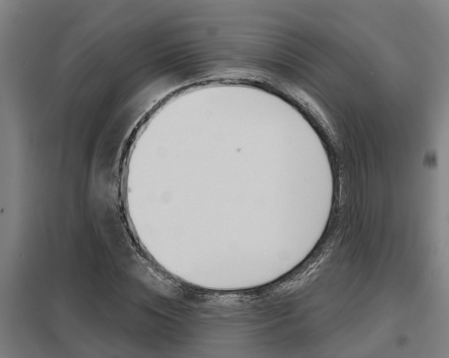 X0000098030828200803280729