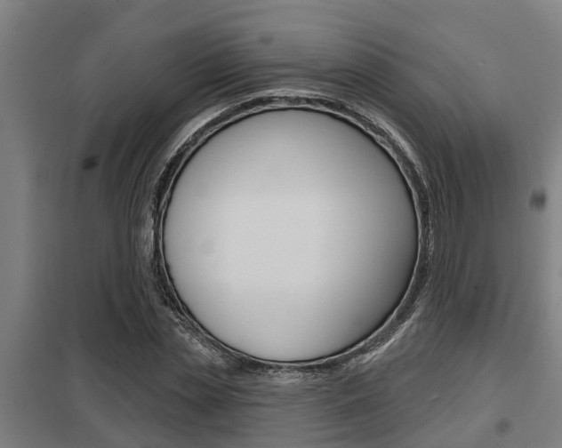 X0000098030829200803280729