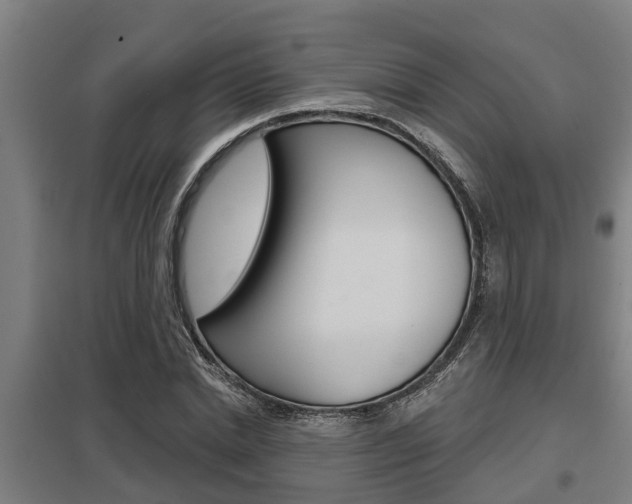 X0000098030830200803280729