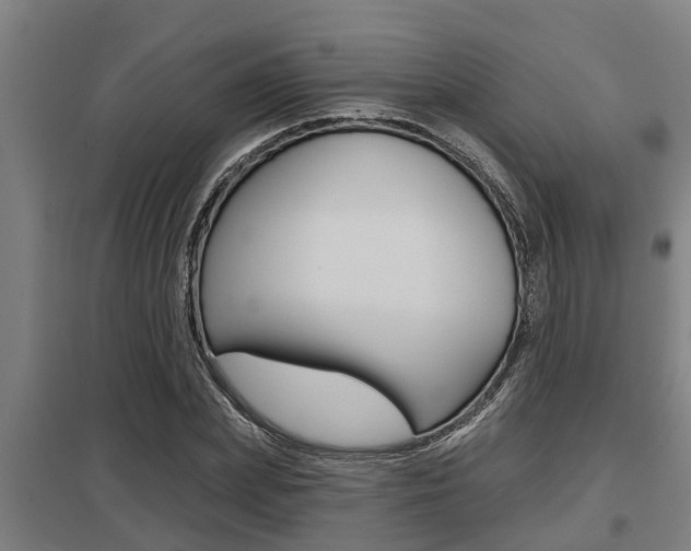 X0000098030831200803280729