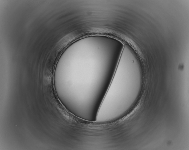 X0000098030833200803280729