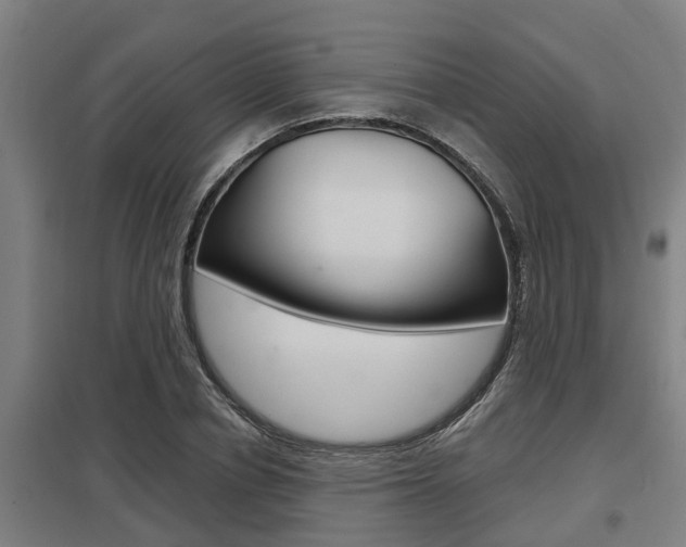 X0000098030834200803280729
