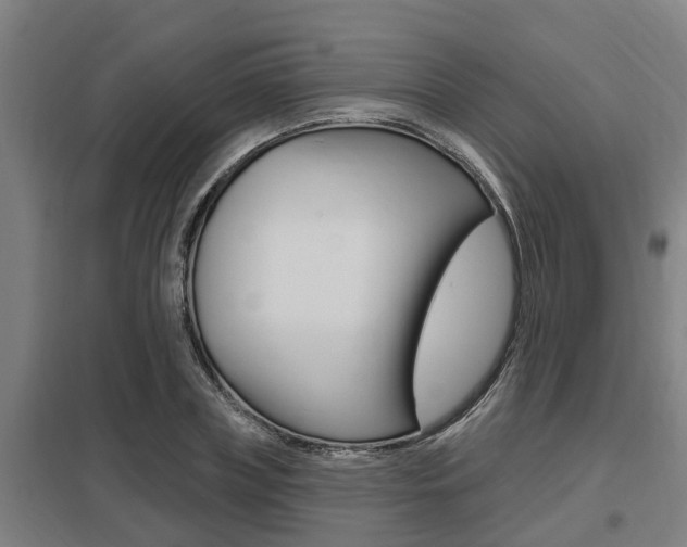 X0000098030835200803280729