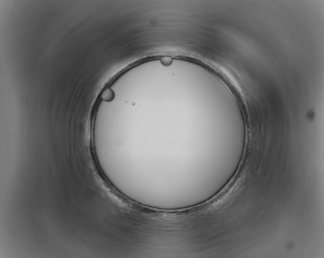 X0000098030839200803280729