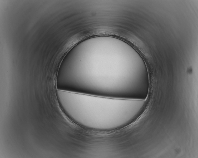 X0000098030841200803280729