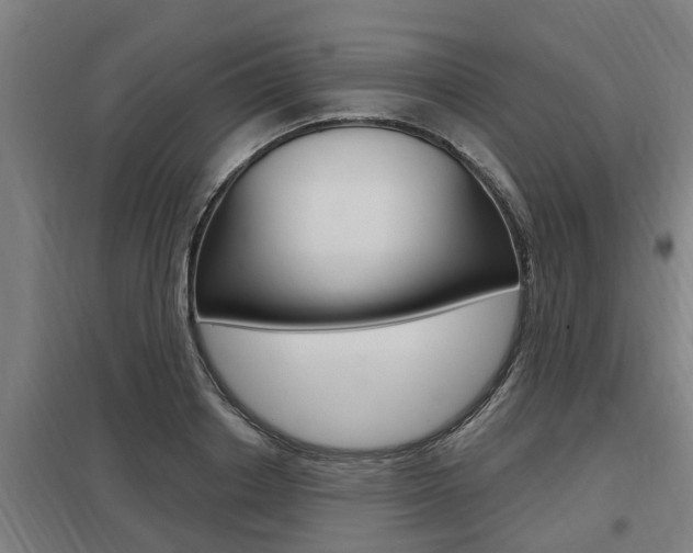 X0000098030842200803280729