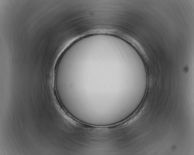 X0000098030844200803280729