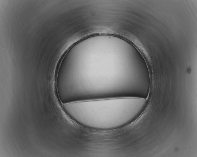 X0000098030845200803280729