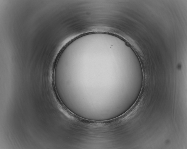 X0000098030846200803280729