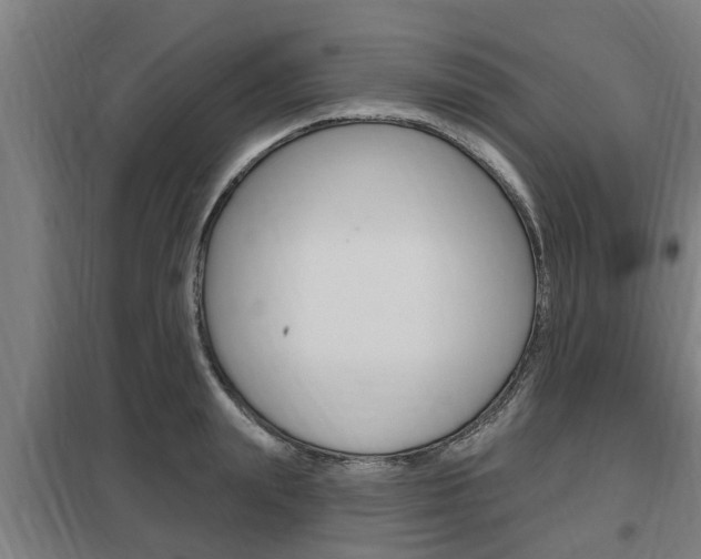 X0000098030847200803280729